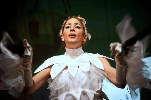 La gabbianella e il gatto